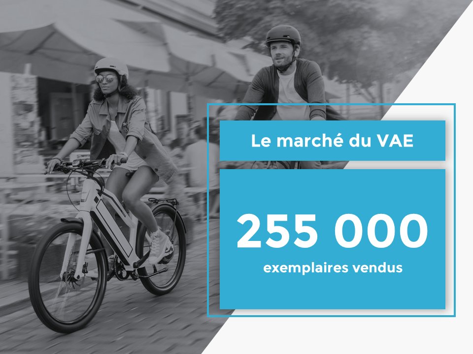 Plus de 250.000 vélos électriques vendus en France en 2017